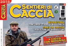 Sentieri di Caccia aprile 2018 in edicola dal 28 marzo Sentieri di Caccia aprile 2018