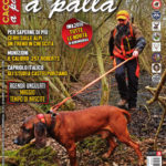 Cacciare a Palla maggio 2018 in edicola dal 17 aprile Cacciare a Palla maggio 2018