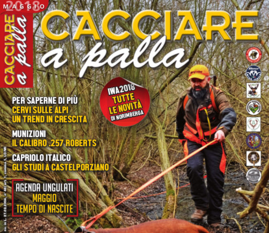 Cacciare a Palla maggio 2018 in edicola dal 17 aprile Cacciare a Palla maggio 2018