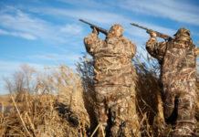 Il mondo venatorio unito: ci vogliono interventi legislativi mirati Cacciatori