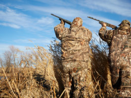 Il mondo venatorio unito: ci vogliono interventi legislativi mirati Cacciatori