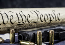 Boom di background check nel mese di marzo Secondo emendamento costituzione americana