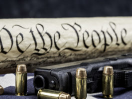 Boom di background check nel mese di marzo Secondo emendamento costituzione americana