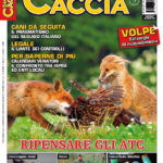 Sentieri di Caccia maggio 2018 in edicola dal 28 aprile Sentieri di Caccia maggio 2018