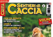 Sentieri di Caccia maggio 2018 in edicola dal 28 aprile Sentieri di Caccia maggio 2018