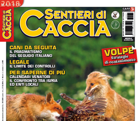 Sentieri di Caccia maggio 2018 in edicola dal 28 aprile Sentieri di Caccia maggio 2018