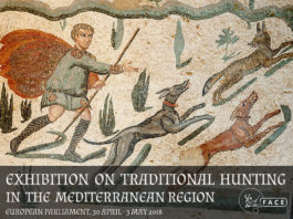 Una mostra sulla caccia tradizionale al parlamento europeo Caccia tradizionale nella regione mediterranea