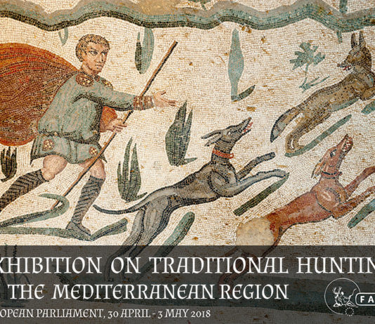 Una mostra sulla caccia tradizionale al parlamento europeo Caccia tradizionale nella regione mediterranea
