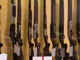 Il Tar sull’aggiornamento del registro delle operazioni delle armerie