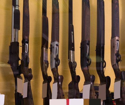 Il Tar sull’aggiornamento del registro delle operazioni delle armerie