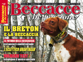 Beccacce che Passione: in edicola il numero 3 maggio-giugno 2018 Beccacce che Passione 3 2018
