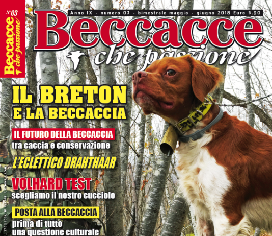Beccacce che Passione: in edicola il numero 3 maggio-giugno 2018 Beccacce che Passione 3 2018