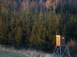 Blaser Group GmbH: nuova struttura, nuovo nome