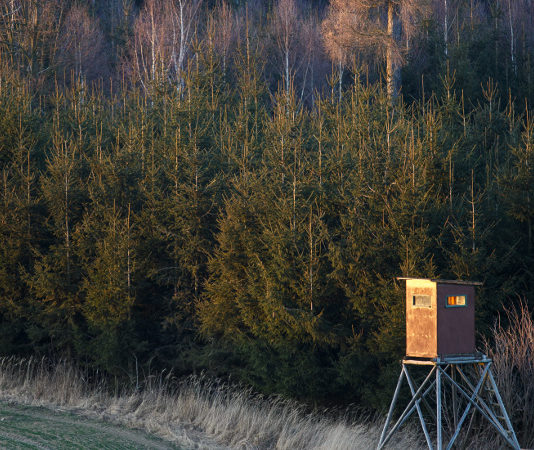 Blaser Group GmbH: nuova struttura, nuovo nome