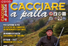 Cacciare a Palla giugno 2018 in edicola dal 17 maggio Cacciare a Palla giugno 2018