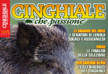 Cinghiale che Passione giugno-luglio 2018 in edicola dal 30 maggio Cinghiale che Passione giugno-luglio 2018