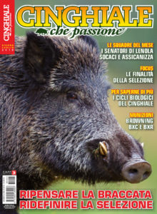 Cinghiale che Passione giugno-luglio 2018