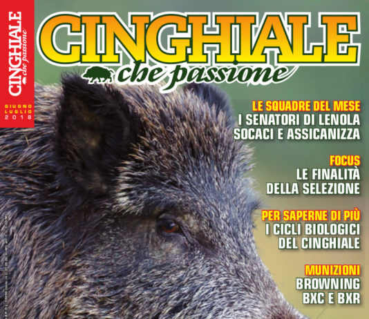Cinghiale che Passione giugno-luglio 2018 in edicola dal 30 maggio Cinghiale che Passione giugno-luglio 2018