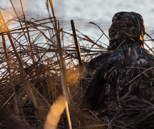 Incontro tra Annamaria Bernini e la cabina di regia del mondo venatorio Incontro tra Annamaria Bernini e la cabina di regia del mondo venatorio