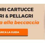Migliori-Cartucce-B&P-Per-Beccaccia