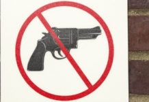 Timore di leggi restrittive, boom di chi difende gli appassionati di armi Pro tell