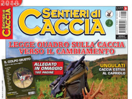 Sentieri di Caccia giugno 2018 in edicola dal 28 maggio