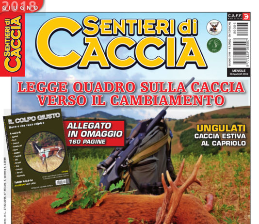 Sentieri di Caccia giugno 2018 in edicola dal 28 maggio