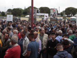 Trend positivo per Caccia Village pubblico di Caccia Village