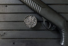 78 perquisizioni per l’acquisto online di armi ad aria compressa di potenza eccessiva 78 perquisizioni per l’acquisto online di armi ad aria compressa di potenza eccessiva