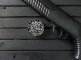 78 perquisizioni per l’acquisto online di armi ad aria compressa di potenza eccessiva 78 perquisizioni per l’acquisto online di armi ad aria compressa di potenza eccessiva