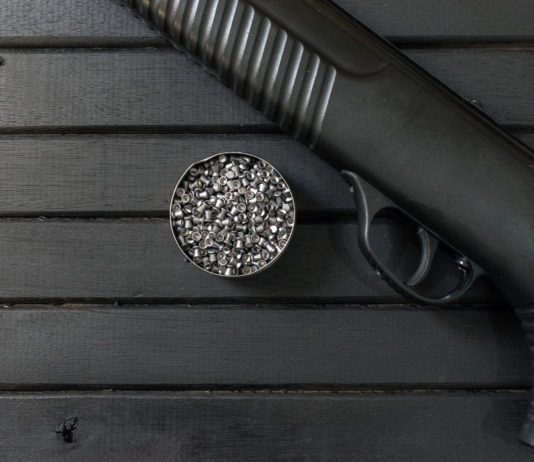 78 perquisizioni per l’acquisto online di armi ad aria compressa di potenza eccessiva 78 perquisizioni per l’acquisto online di armi ad aria compressa di potenza eccessiva