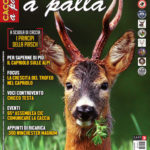 Cacciare a Palla luglio 2018 in edicola dal 16 giugno Cacciare a Palla luglio 2018