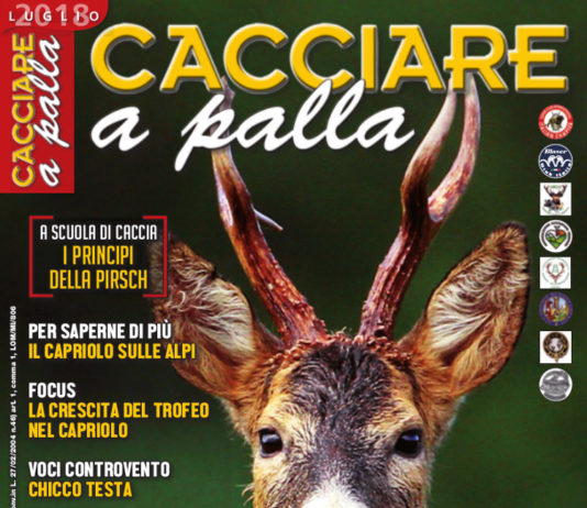 Cacciare a Palla luglio 2018 in edicola dal 16 giugno Cacciare a Palla luglio 2018