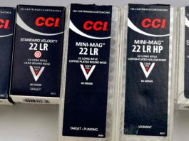 Cci Standard Velocity cal. .22 Lr, standard americano Cci Standard Velocity cal. .22 Lr