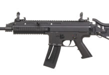 German Sport Guns Gsg15 cal. .22 Lr, per allenamento e divertimento Gsg 15