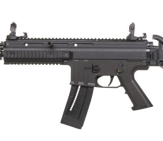 German Sport Guns Gsg15 cal. .22 Lr, per allenamento e divertimento Gsg 15