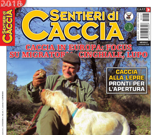 Sentieri di Caccia luglio 2018 in edicola dal 28 giugno Sentieri di Caccia luglio 2018
