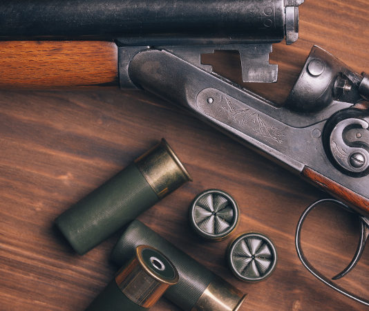 Il Tar della Lombardia sulla denuncia di trasferimento di armi