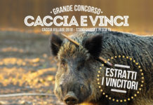 I vincitori del concorso Caccia e vinci Vincitori del concorso caccia e vinci