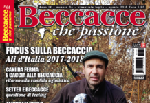Beccacce che Passione: in edicola il numero 4 luglio-agosto 2018 beccacce che passione 4 2018