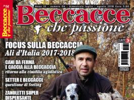 Beccacce che Passione: in edicola il numero 4 luglio-agosto 2018 beccacce che passione 4 2018