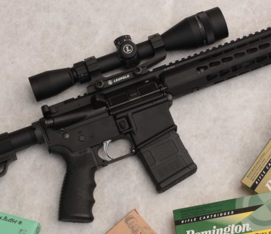 Bushmaster Minimalist, minimale solo nel nome bushmaster minimalist