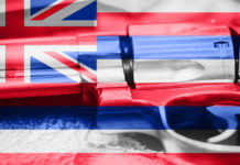 Sentenza della Corte d’Appello sul porto d’armi in pubblico Hawaii porto d'armi in pubblico