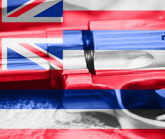 Sentenza della Corte d’Appello sul porto d’armi in pubblico Hawaii porto d'armi in pubblico