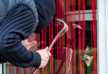 L’Aidaa: “Estendete la legittima difesa anche a chi si difende da furto di animali” furto di animali: rapinatore con passamontagna e piede di porco cerca di rubare cane dietro finestra