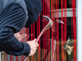 L’Aidaa: “Estendete la legittima difesa anche a chi si difende da furto di animali” furto di animali: rapinatore con passamontagna e piede di porco cerca di rubare cane dietro finestra