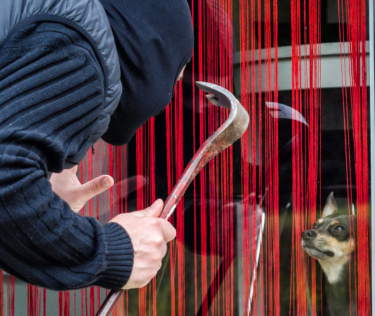 L’Aidaa: “Estendete la legittima difesa anche a chi si difende da furto di animali” furto di animali: rapinatore con passamontagna e piede di porco cerca di rubare cane dietro finestra