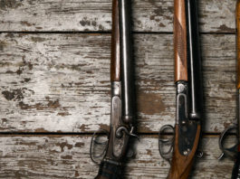 Audizioni al Senato sul recepimento della Direttiva Armi quattro fucili da caccia su pavimento di legno: recepimento della direttiva armi