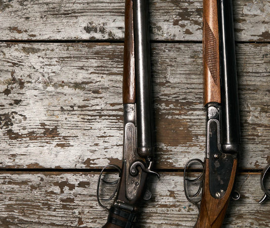 Audizioni al Senato sul recepimento della Direttiva Armi quattro fucili da caccia su pavimento di legno: recepimento della direttiva armi