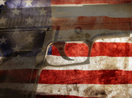 Verso il referendum sulle armi Us flag gun